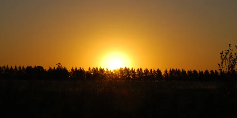 OPORTUNIDAD IMPERDIBLE!!! LOTE EN CLUB DE CAMPO LAS HOJAS