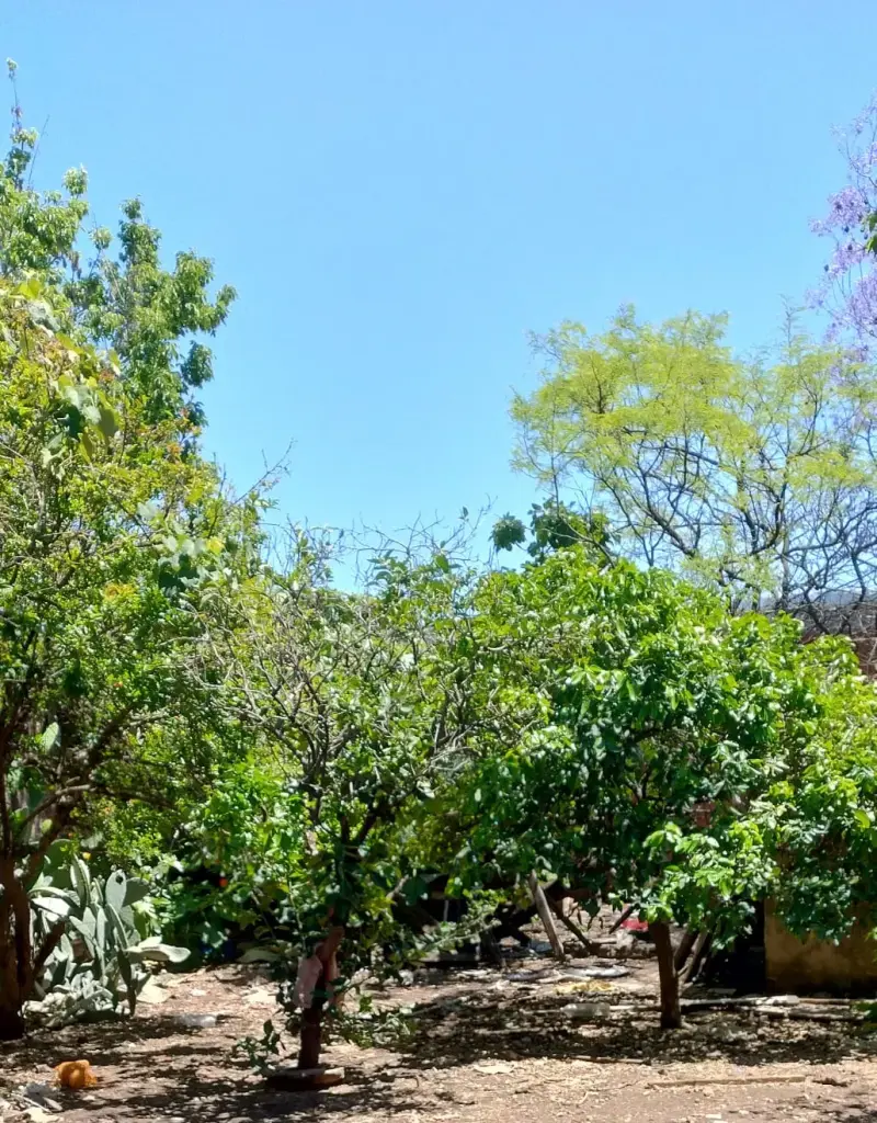 OPORTUNIDAD! Casa a reciclar. Morón Sur