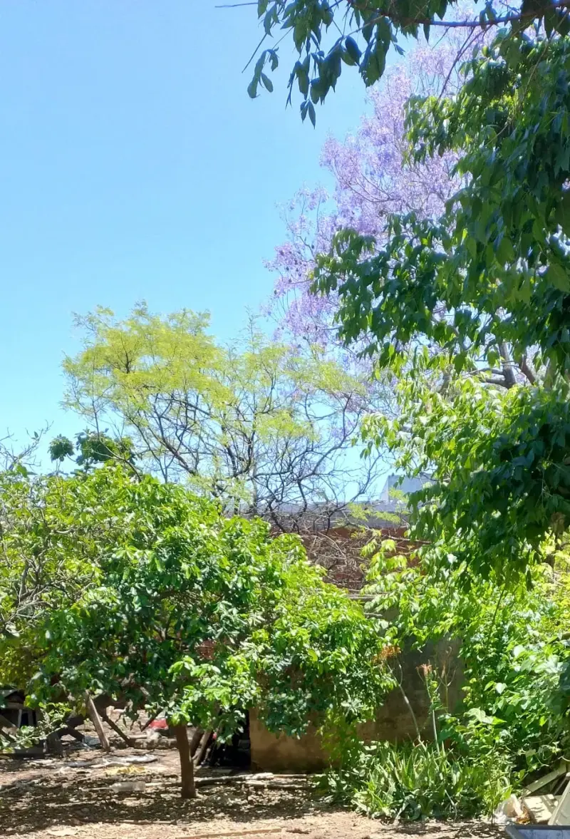 OPORTUNIDAD! Casa a reciclar. Morón Sur